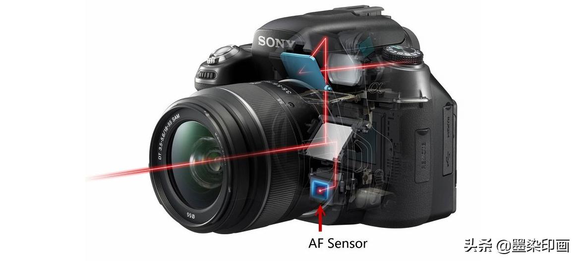 新手入门预算万元选单反还是微单,专业摄影相机单反好还是微单好