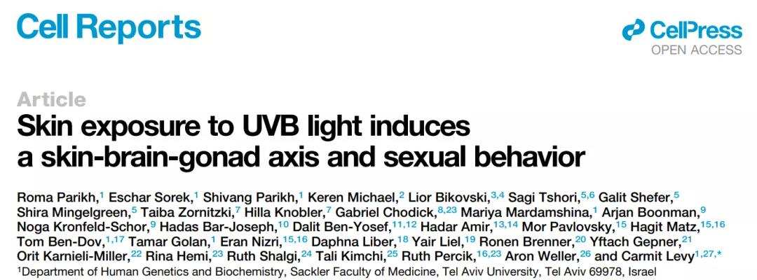 为什么要晒太阳?新研究:晒太阳能促进人体分泌*丸睾**素,增加性欲
