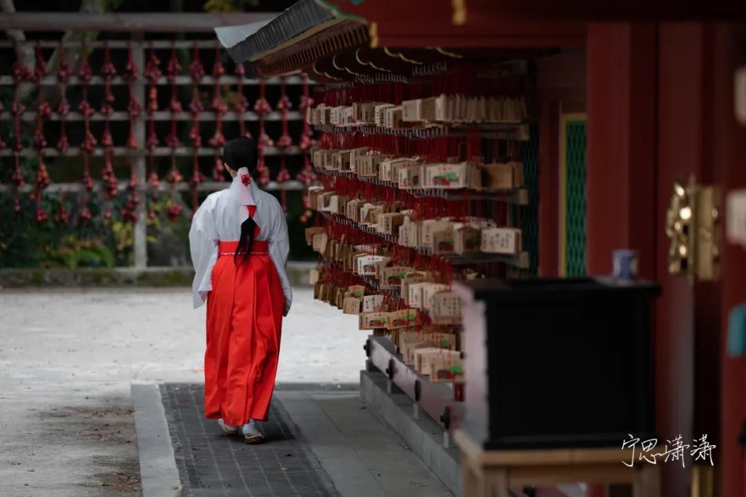 摄影初学者预算两千买什么相机,家用和旅游摄影买什么相机