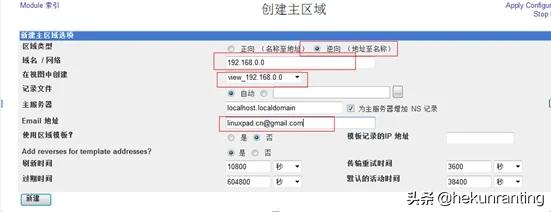 企业内网不搭建dns服务可以吗,局域网dns服务器架设