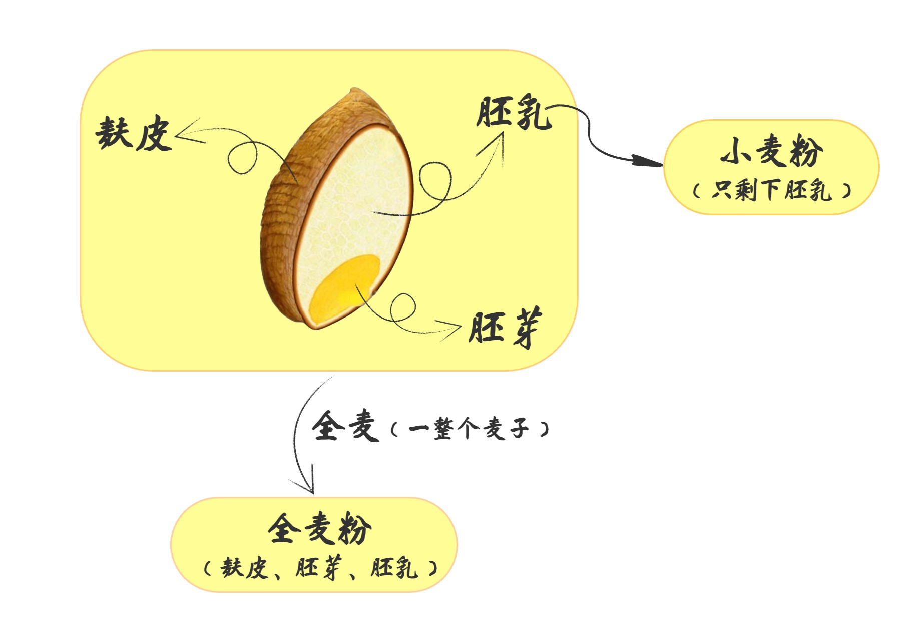 鍏ㄩ害闈㈠寘鍑忚偉缈昏溅,鍋氬叏楹﹂潰鍖呯炕杞︾殑鍘熷洜