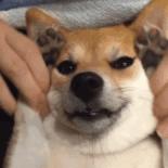 儿童游乐场利润大吗,儿童游乐园利润分析