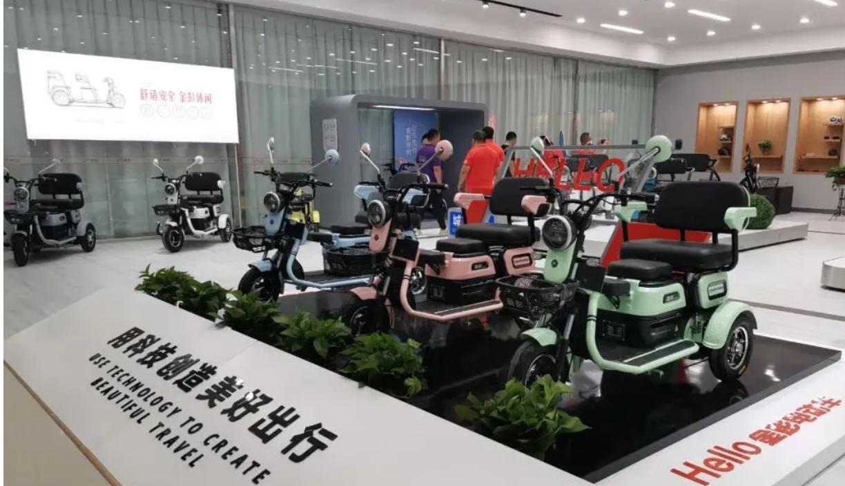 休闲三轮车排行榜前十名品牌,休闲三轮车哪种是最新款的