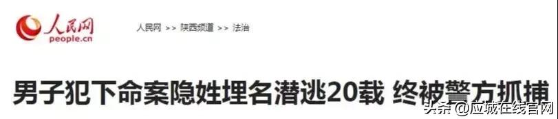 应城新闻今日,2019应城新闻今日头条