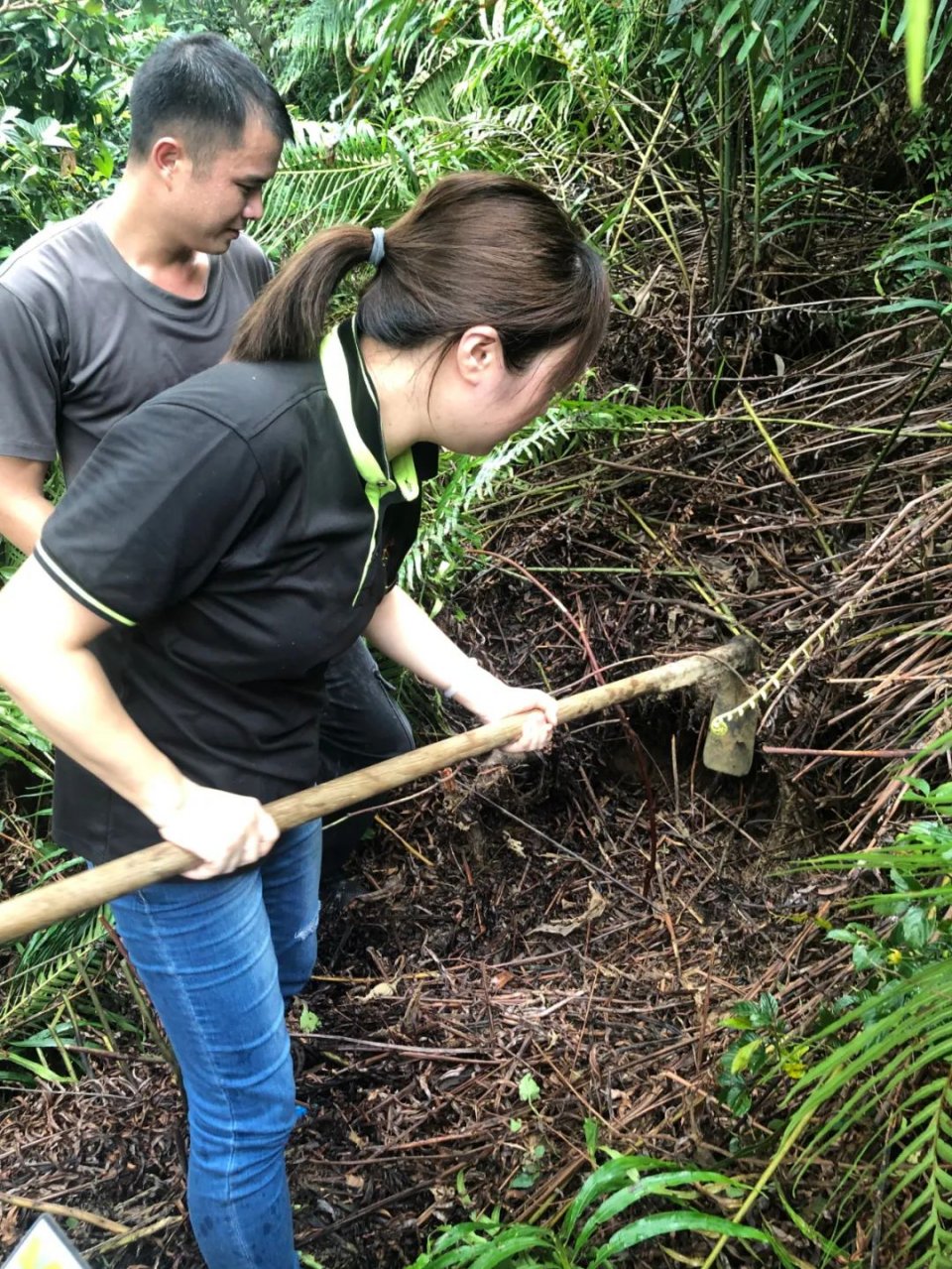 盘点广东人的夏日消暑神器,消暑必备神器凉粉