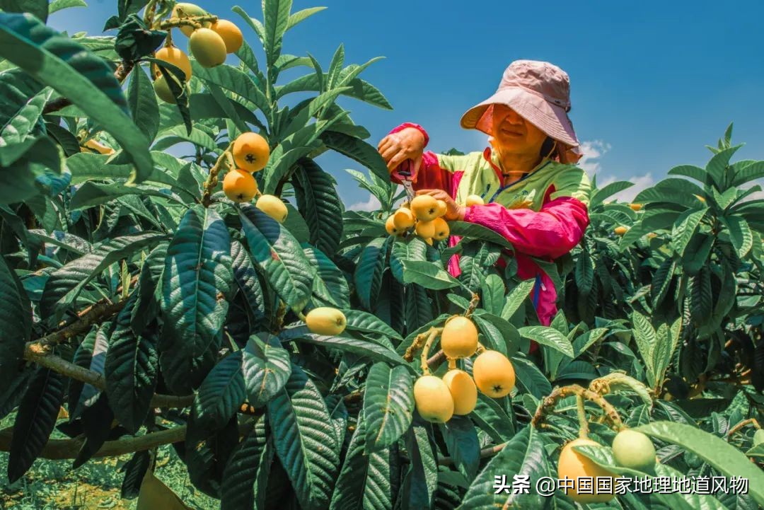 攀枝花不属于四川了吗,为什么说四川攀枝花是土豪城市
