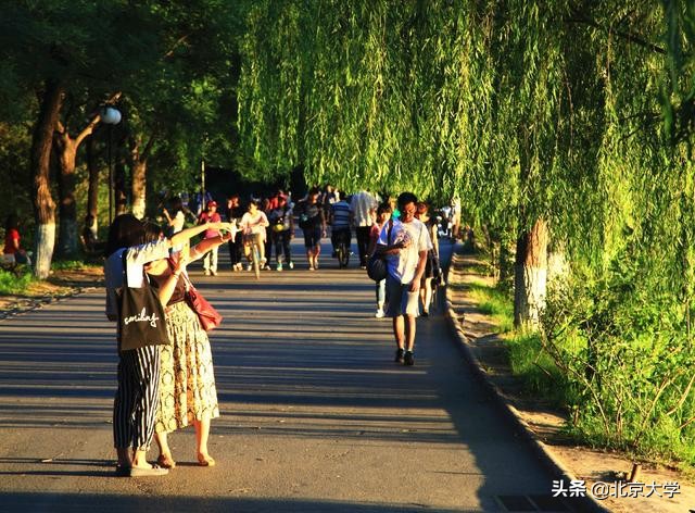 为什么要博雅教育,博雅教学和博雅教育的区别