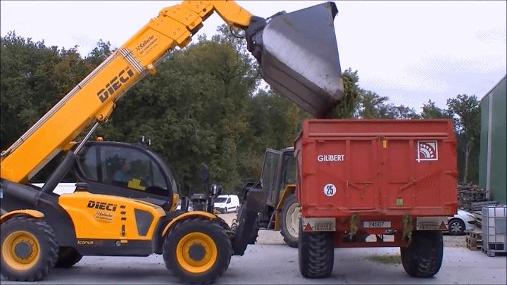 荷兰温室多少钱一平米,为什么玻璃温室荷兰都在用