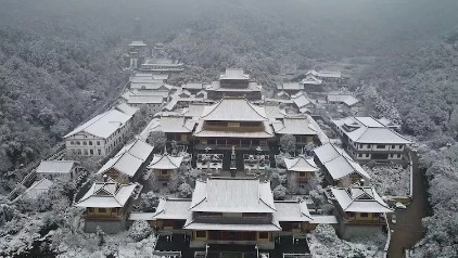 中国古檀博物馆,中国古核雕