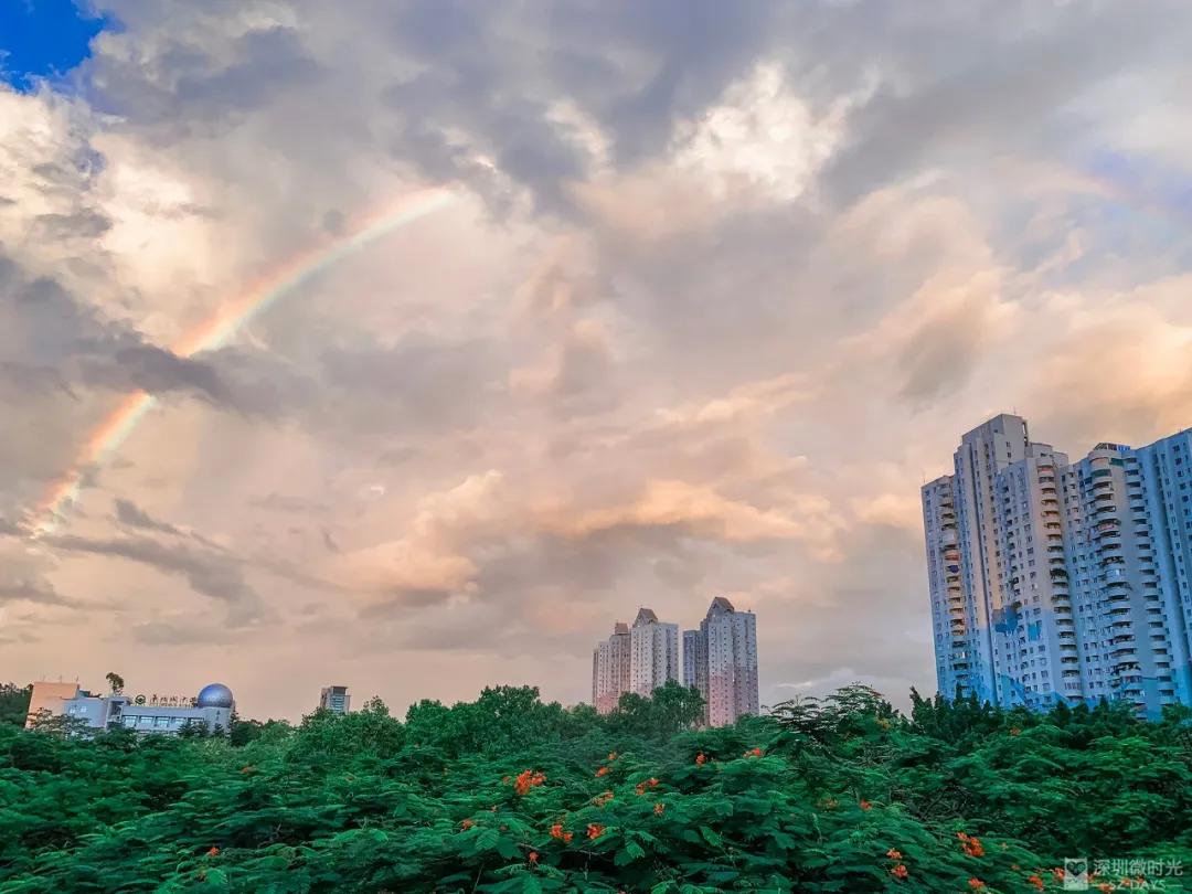 深圳合租式爱情：为了省房租，我没敢说分手