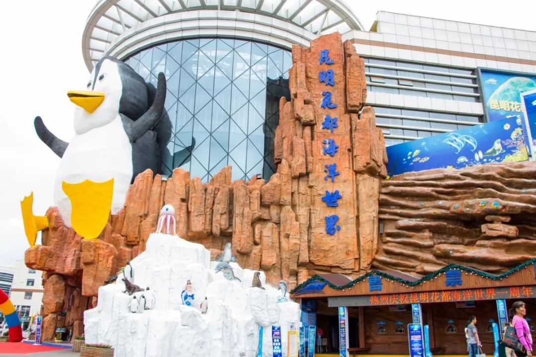 海洋剧场秀、丛林萌宠乐园、风车向阳花，昆明热闹新春，属于它