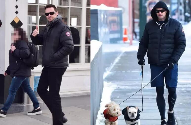 上万元的羽绒服,上万元一只的柯尔鸭凭啥这么贵