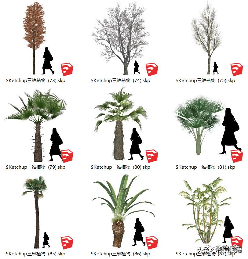 不去用模型树，你根本不知道它有多“香”？