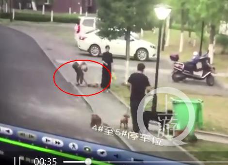 男子为护狗反被未拴绳大狗咬伤*体下**：缝了30多针