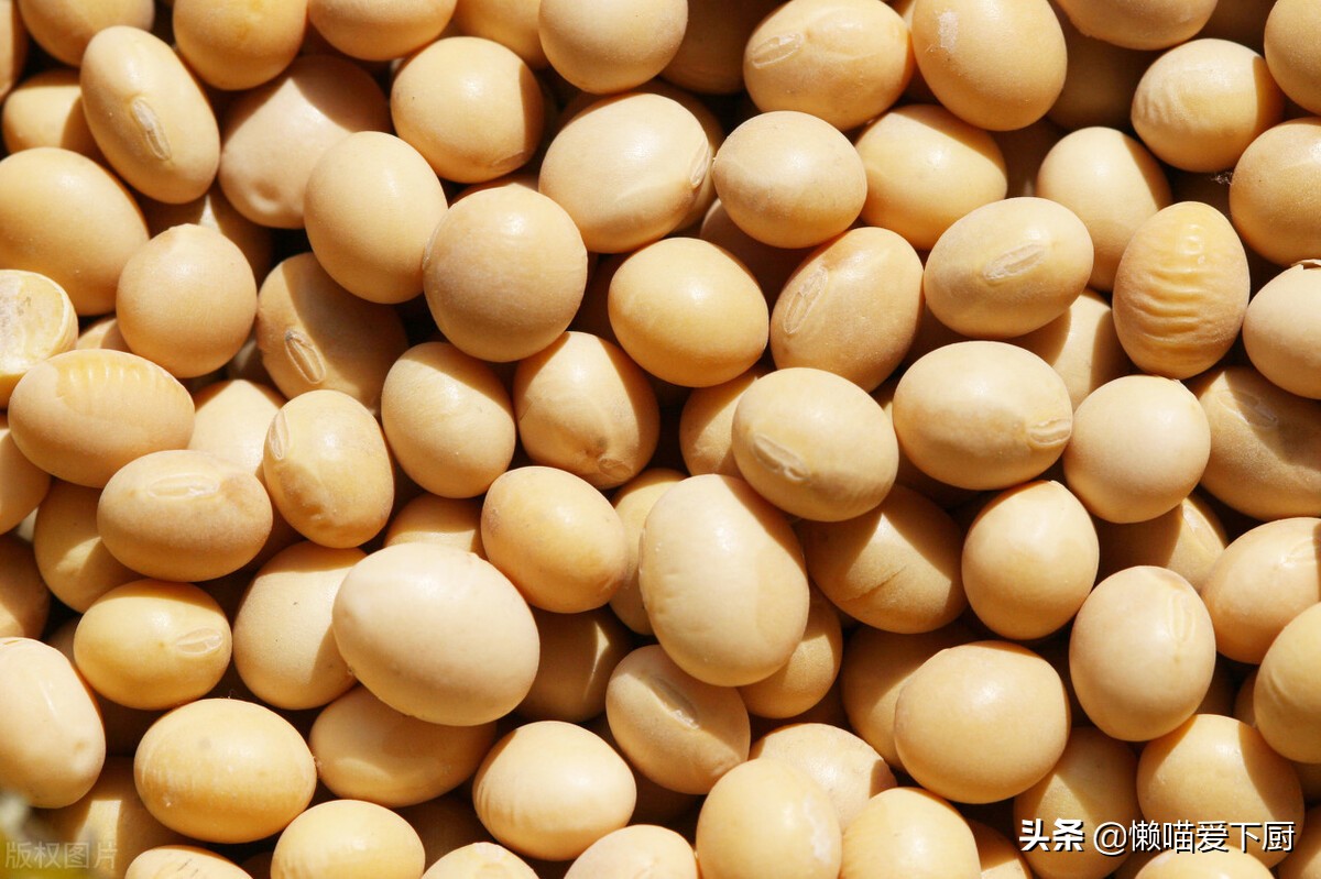 转基因大豆和非转基因大豆哪个好,非转基因大豆和转基因大豆区别