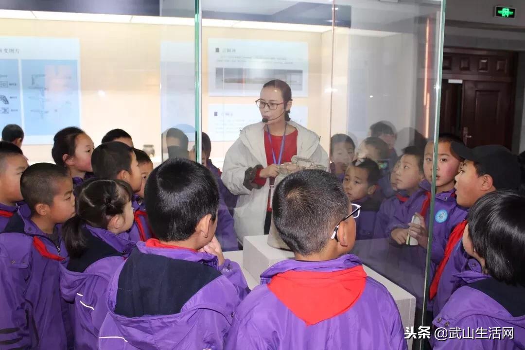 武山县城关三小、四小到县博物馆研学之旅