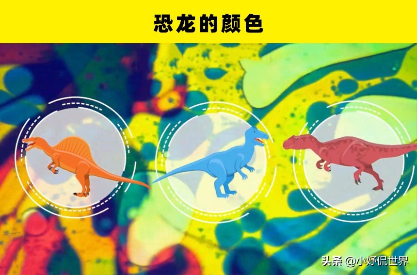 10个至今未被解开的恐龙之谜,关于恐龙的一切资料和恐龙的来源