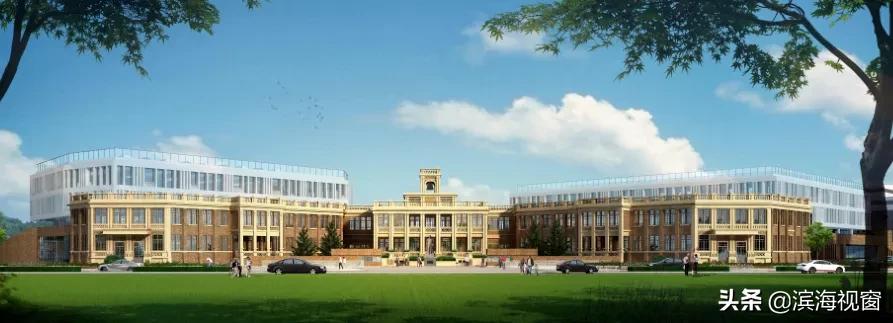 天津滨海新区重点小学一览表,天津滨海新区南开小学