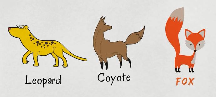 动物类英语单词记忆教学,每日英语单词之动物单词