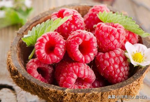 种一盆小时候的味道,超市卖到100多一斤的树莓,自己种一棵丰产