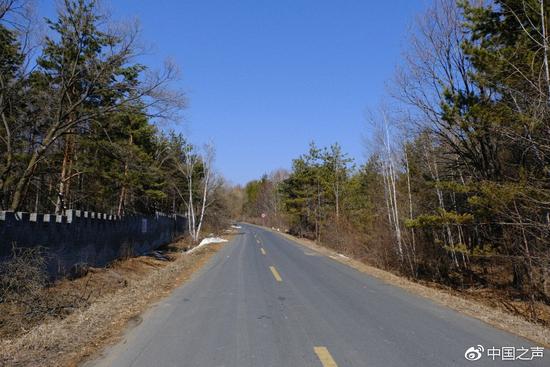 毁林百亩削山挖湖建私人庄园,被毁林建私人庄园