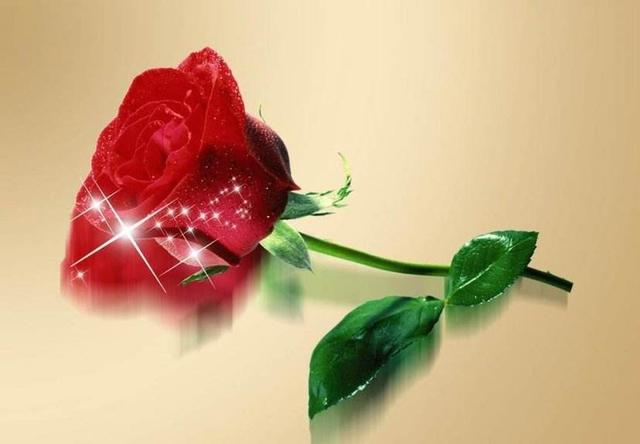 为别人开一朵花的意思,为他人开一朵花摘抄