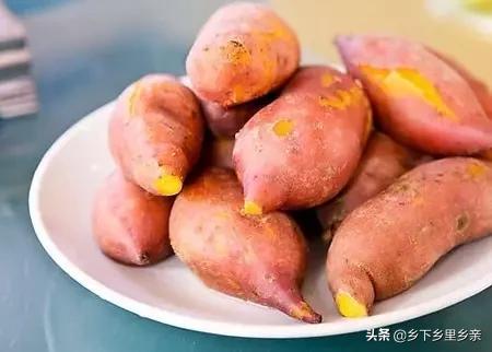 小麦引进中国之前人们吃什么,涨姿势科普刷新您对大米的认知