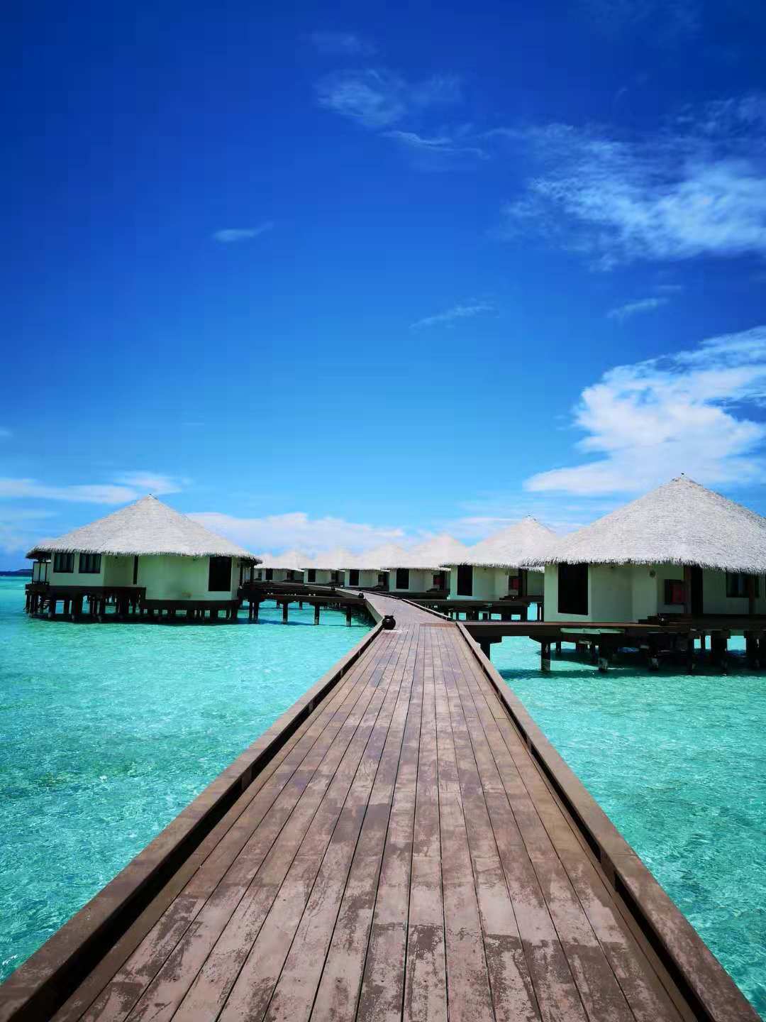 度蜜月去马尔代夫怎么选,度蜜月哪也不去可以干什么