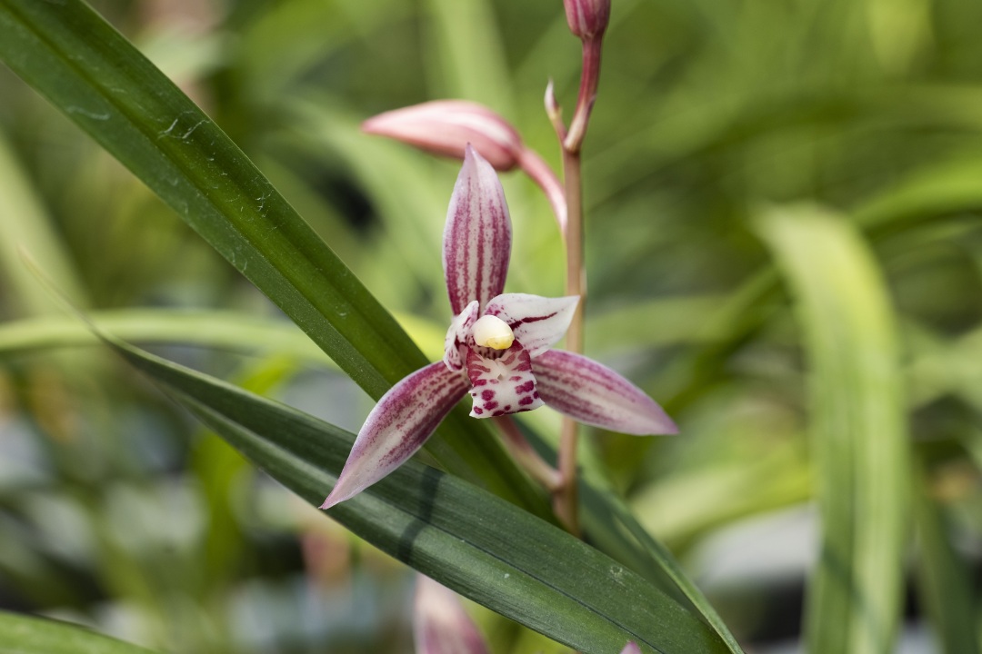 藏在福建漳州南靖的世外桃源,南靖世外桃源