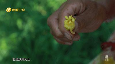 江坊村里抓河鲜,药膳罗汉品一品