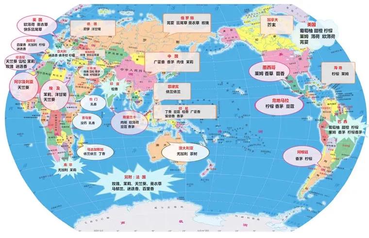 什么植物精油最好排行榜前十名 (植物精油怎么选)