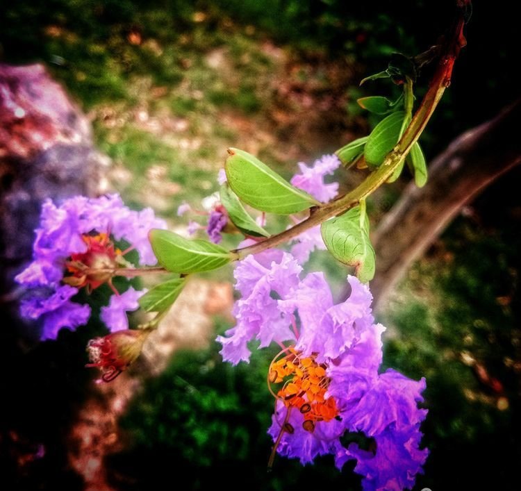 临颍：摄影家大咖走进三高，现场传授摄影秘籍