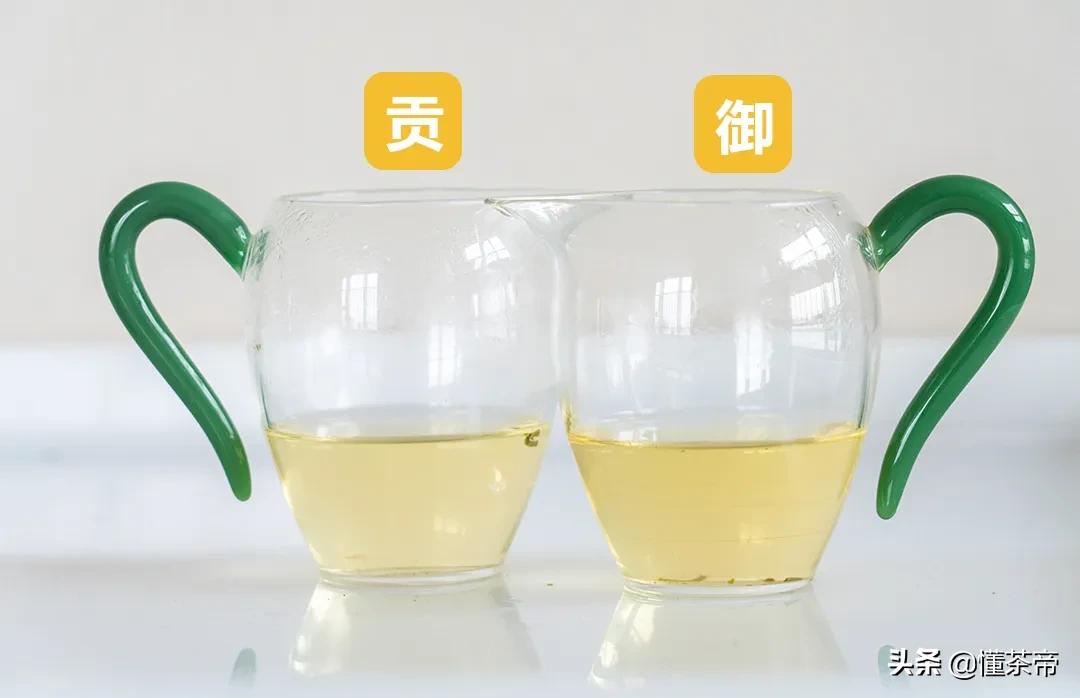 龙井春茶测评,龙井测评排行