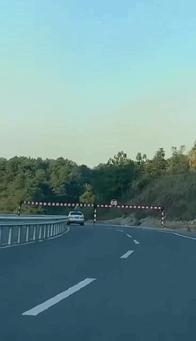 100个真实事故案例,小学生校园安全事故典型十大案例