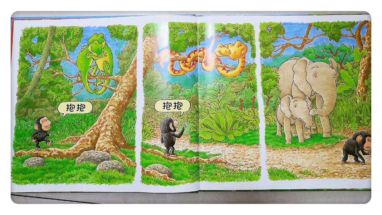 缁樻湰鏁呬簨鎶辨姳濡備綍绮捐,鎶辨姳缁樻湰鍏ㄩ儴鍥剧墖