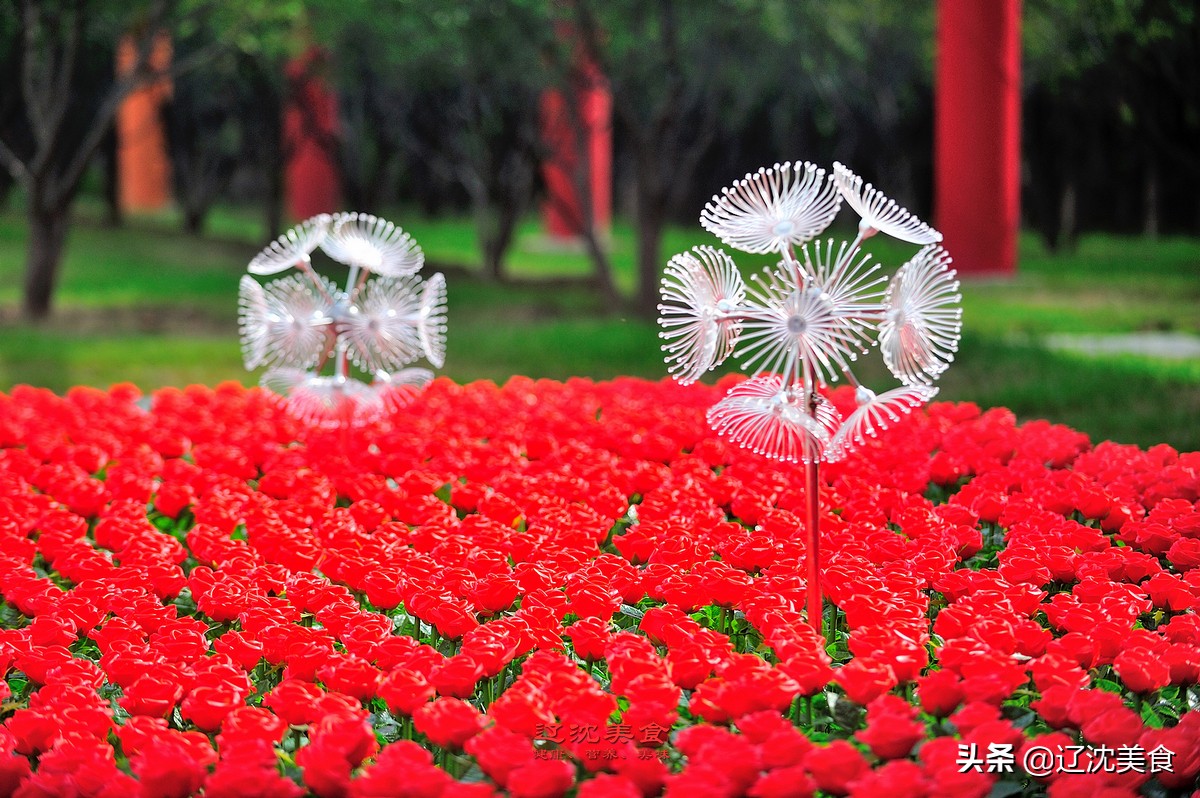 夏季沈阳游攻略必玩的景点,十一期间去沈阳玩一天攻略