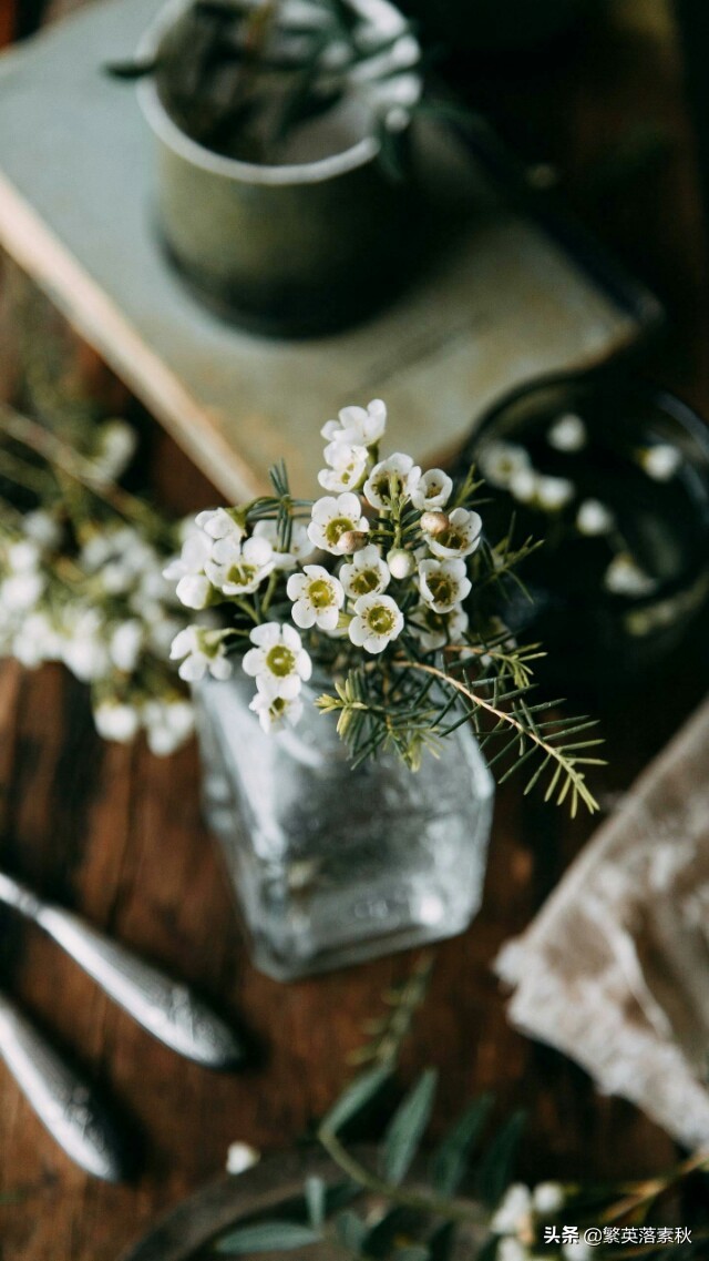 素秋送礼物——繁英心情三起三落