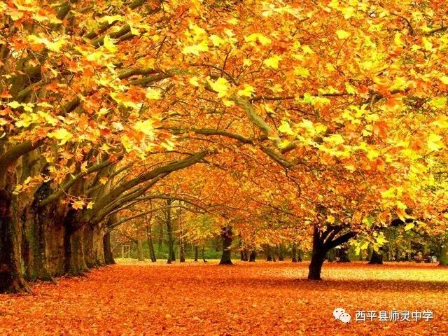 excel中成绩单怎么弄公式和函数,excel怎么做成绩通知单