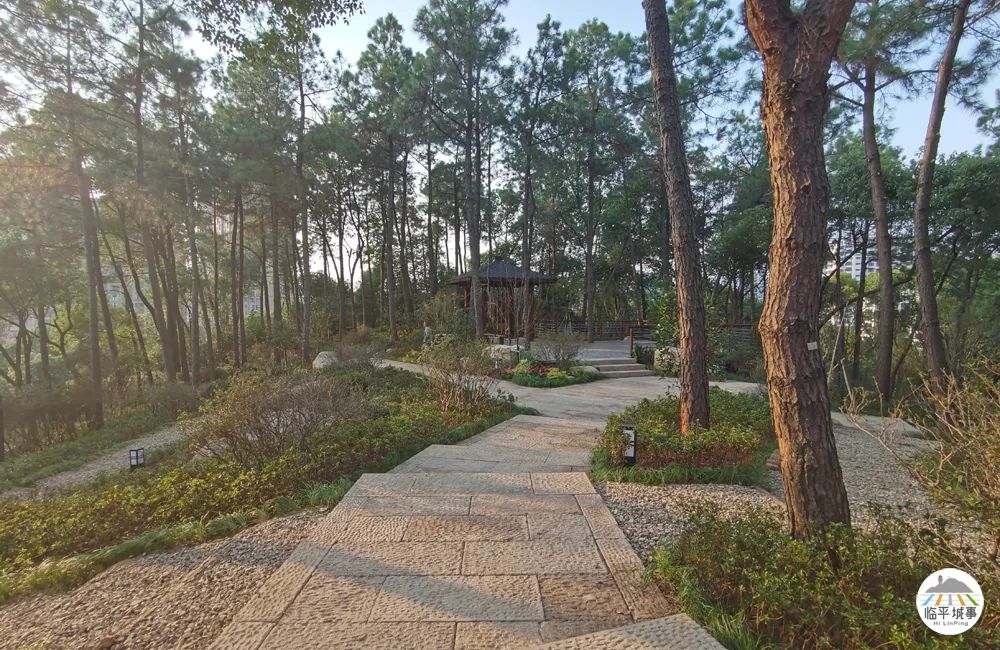 临平体育馆改扩建有篮球场吗,体育公园篮球场施工