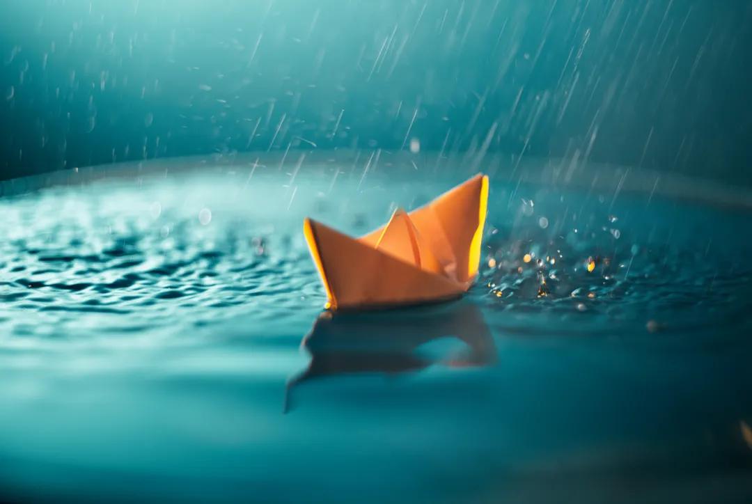 雨水丨如雨如水，温柔坚定