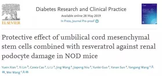 干细胞治疗糖尿病临床3期进展,糖尿病肾病干细胞