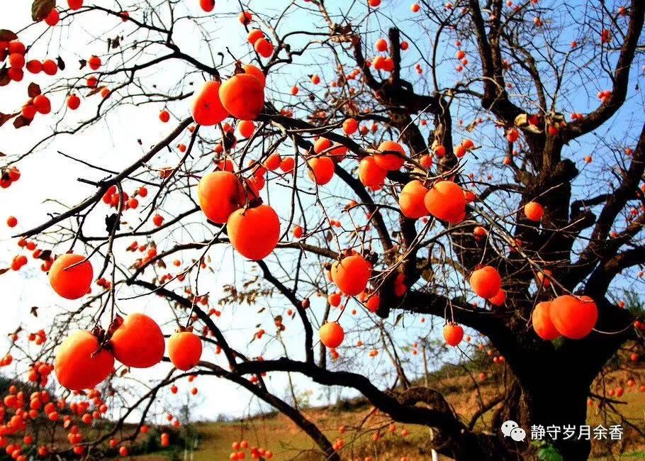 周光辉/情长更比水流长