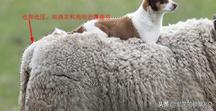 如何简单完整的做一张ps图,ps怎么制作图片详细步骤