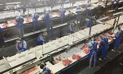 进口食品的流程和注意事项,进口食品需要注意哪些