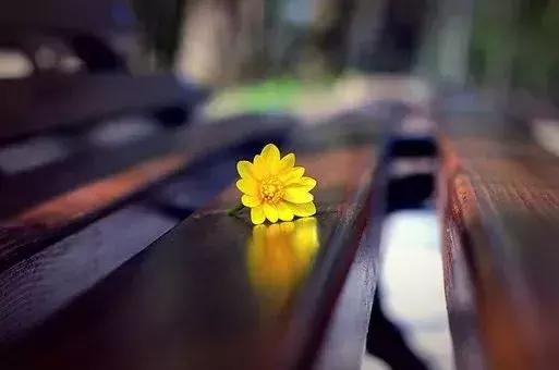 刁问妙答！（绝妙）