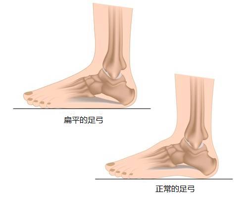 如何练好脚趾瑜伽,练习脚根基的瑜伽动作