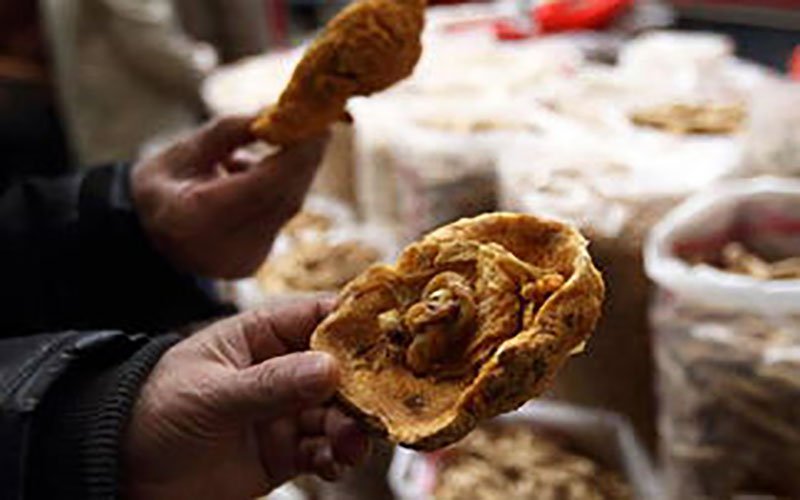 生完孩子的胎盘怎么处置,生完孩子胎盘怎么处理有什么讲究