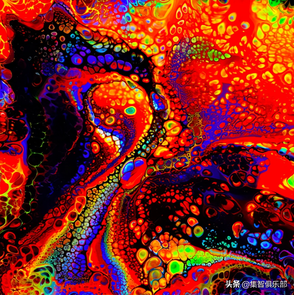 离散混沌传奇丨陈关荣