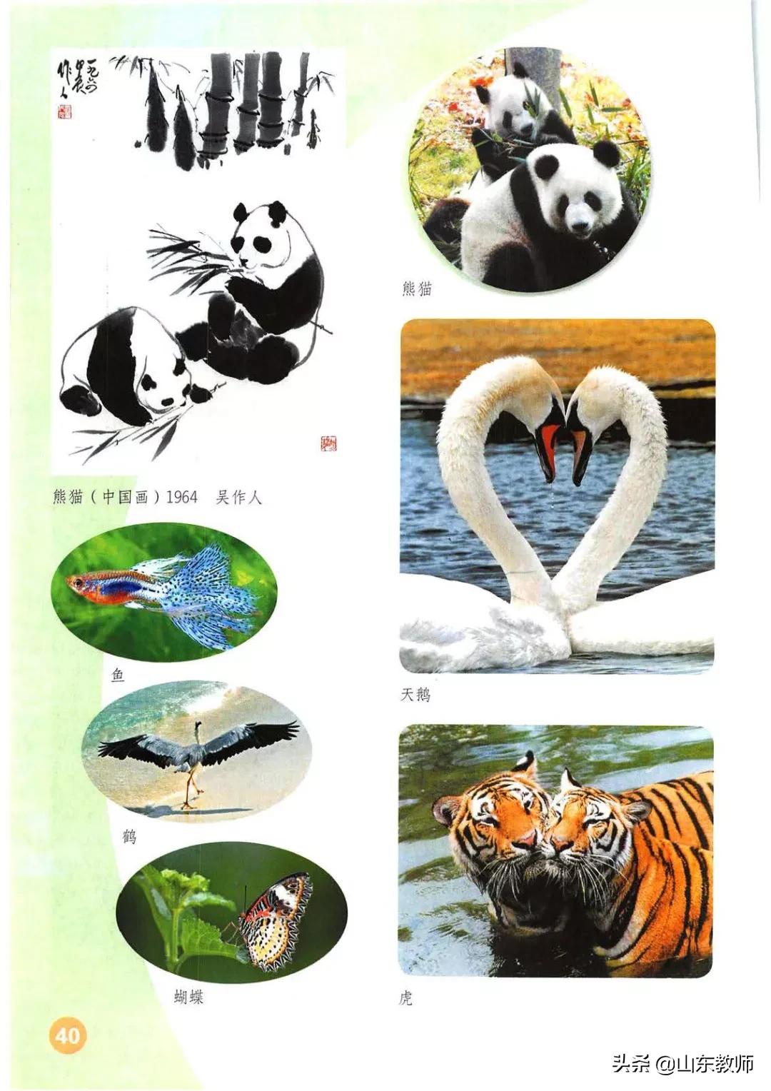 一年级上册美术第一课,人教版美术一年级上册电子课本