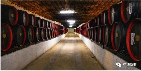 高强型快速堵漏剂,科施顿堵漏灵快速堵漏